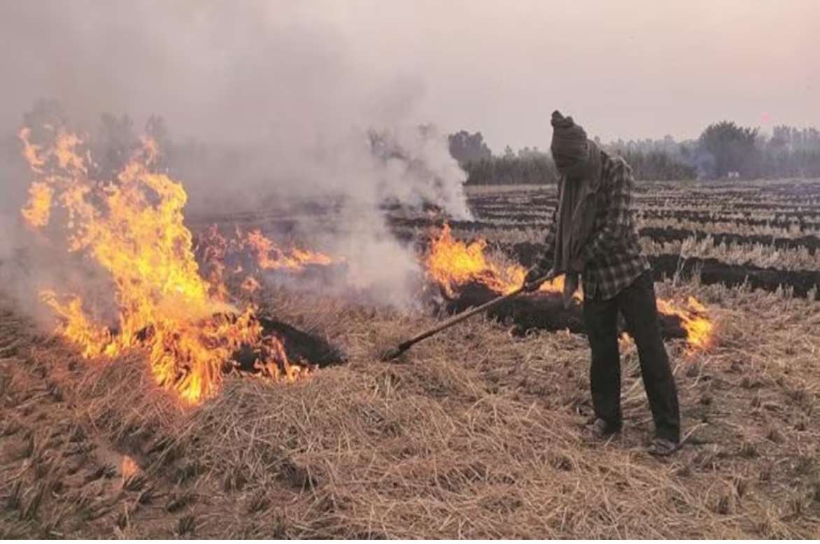 Agriculture Minister: Punjab में पराली जलाने की घटनाओं को 50 प्रतिशत तक कम करने का लक्ष्य